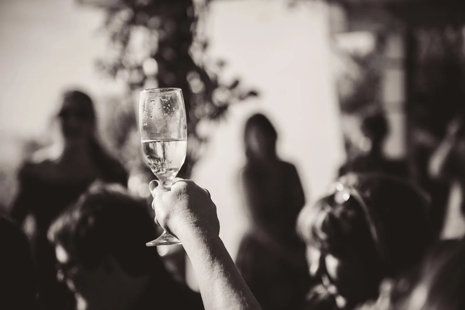 Black and white photo of a hand raising a single glass during a wedding toast